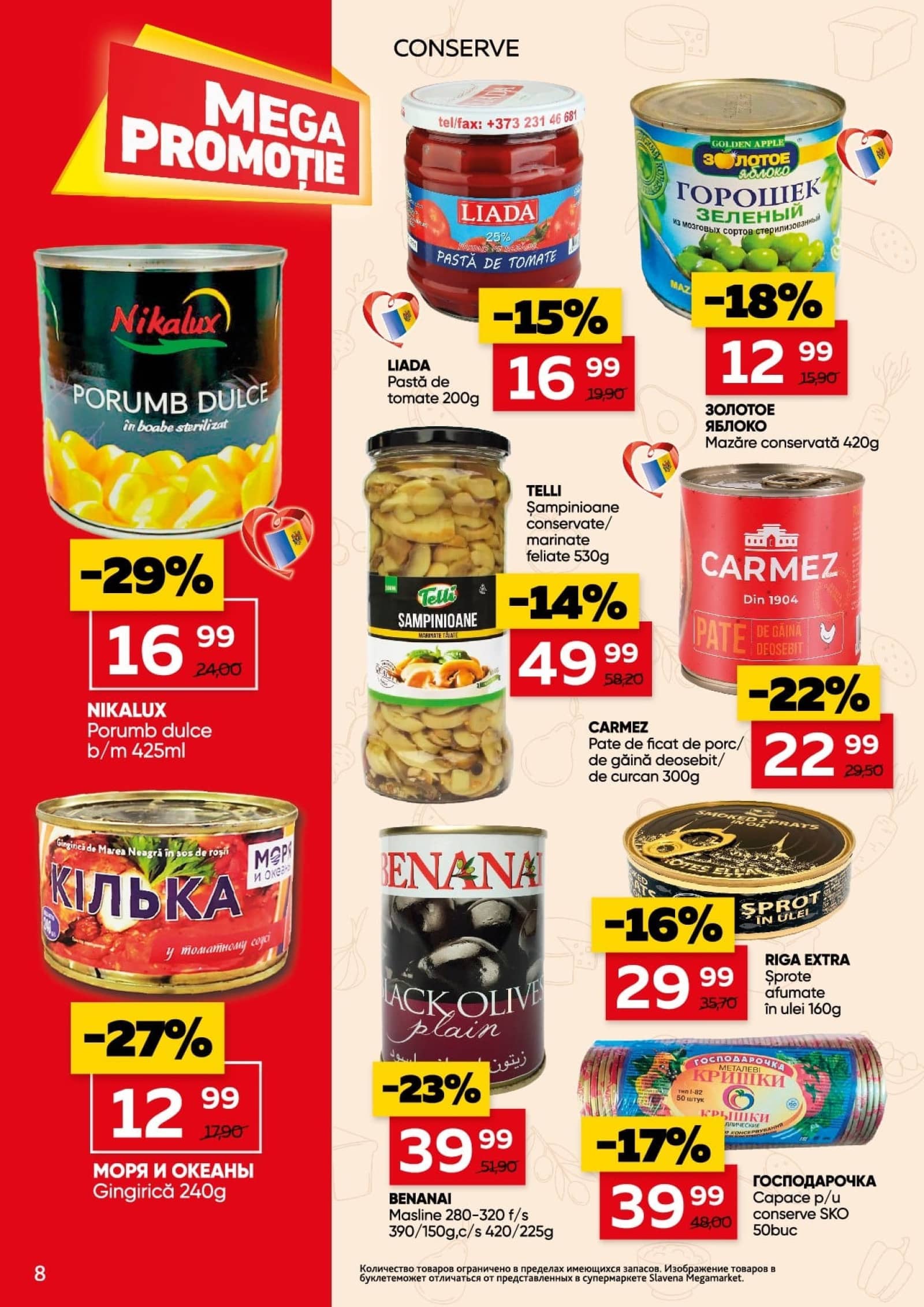 Pagina 8