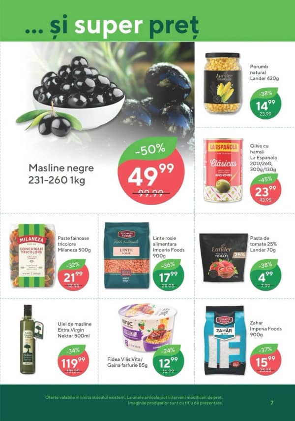 Pagina 7