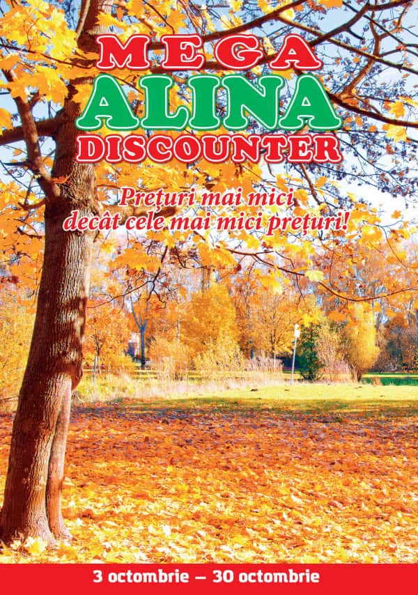 Mega Alina Discounter: Буклет октября