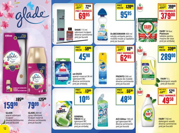 Pagina 12