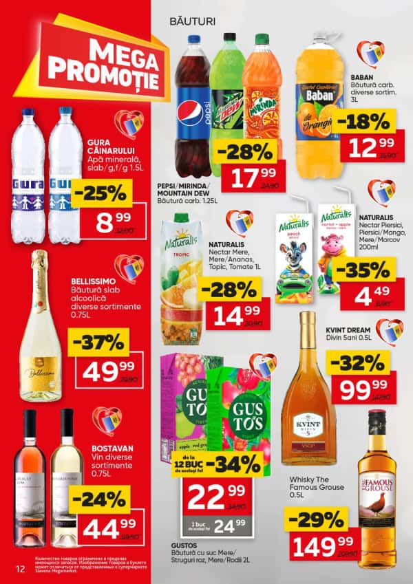 Pagina 12