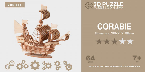 Robotica: 3D puzzle din lemn