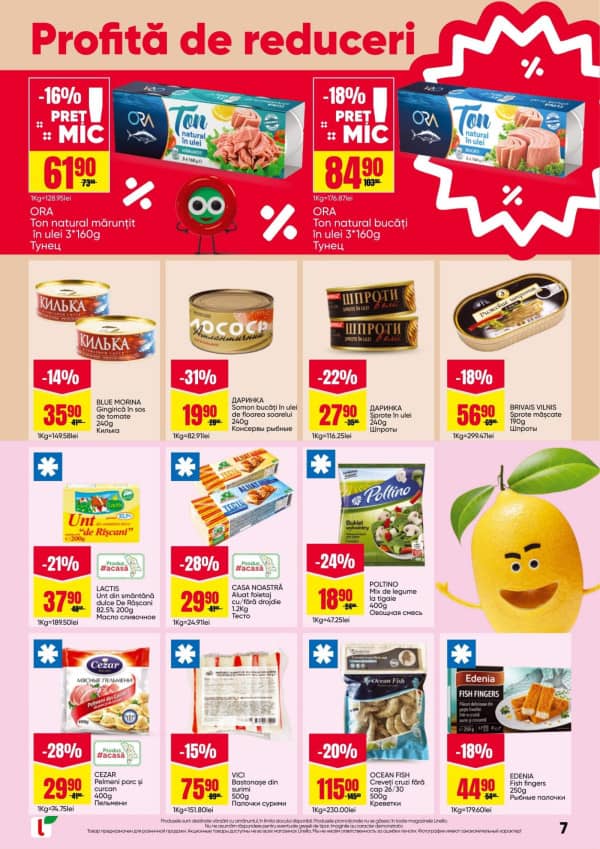 Pagina 7