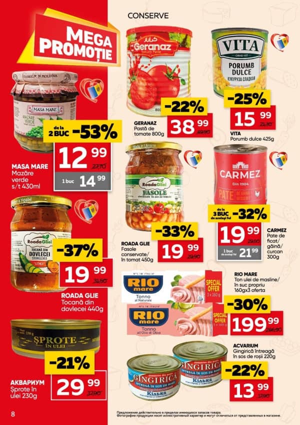 Pagina 8