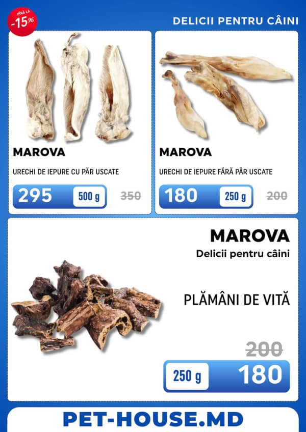 Pagina 9