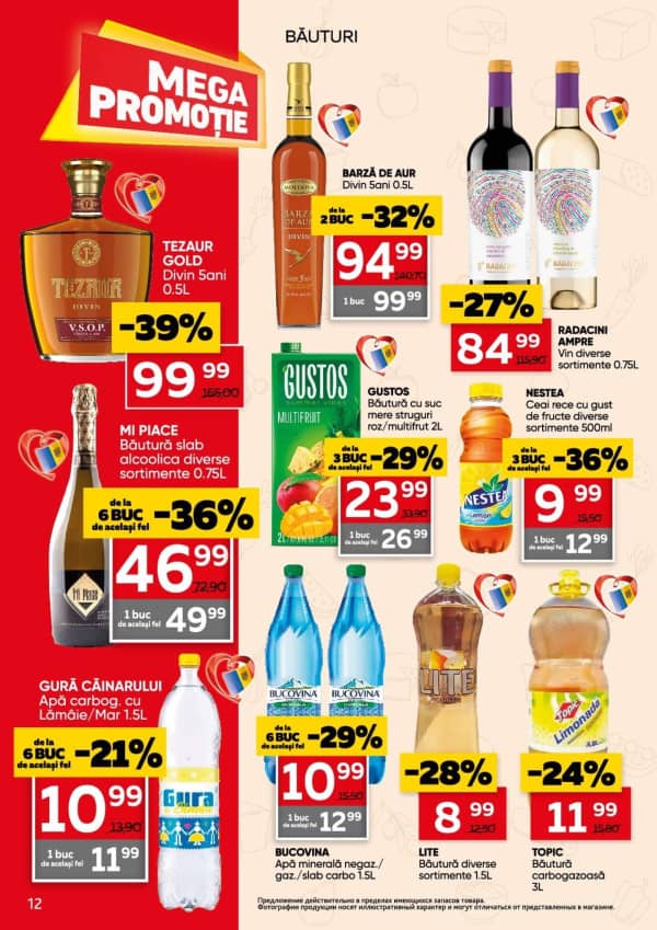 Pagina 12