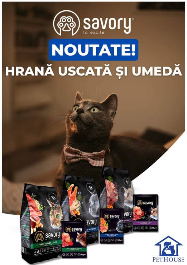 Pagina 21