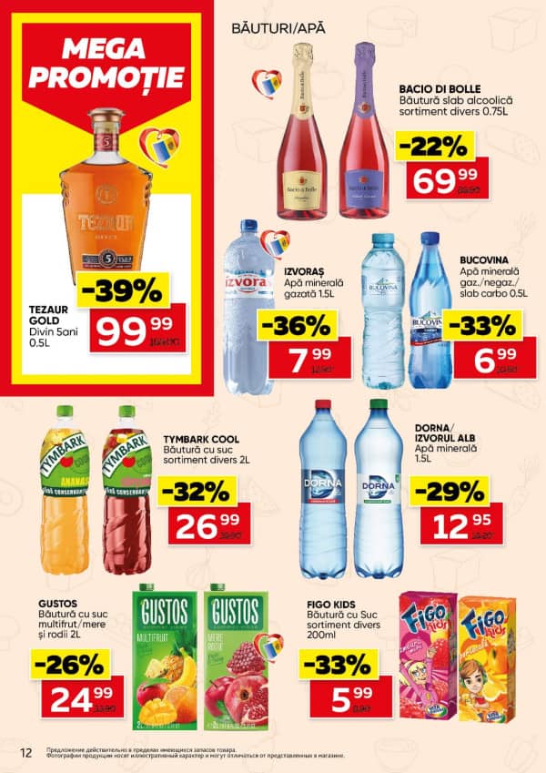 Pagina 12