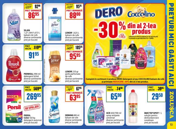 Pagina 13