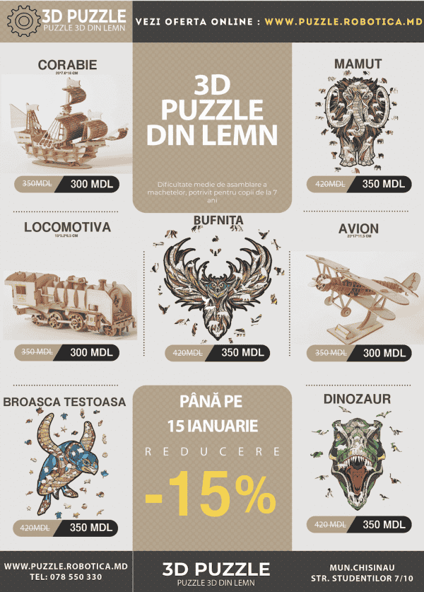 Robotica.md: 3D Puzzle din lemn
