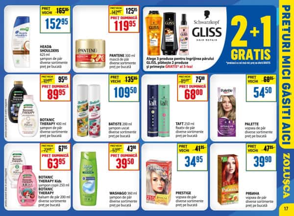 Pagina 17