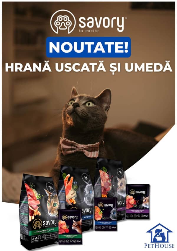 Pagina 1