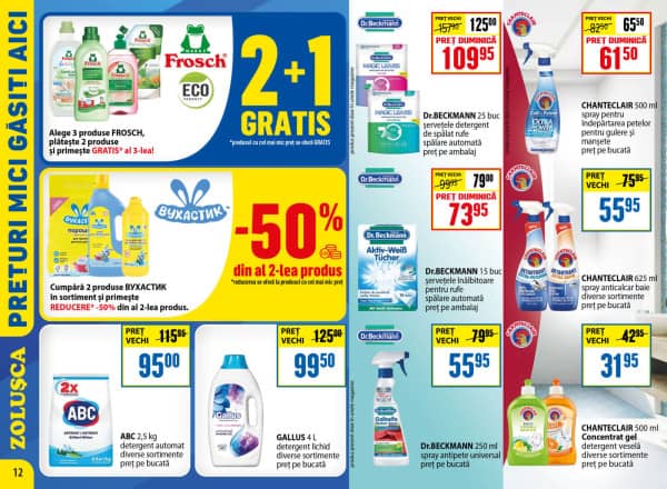 Pagina 12