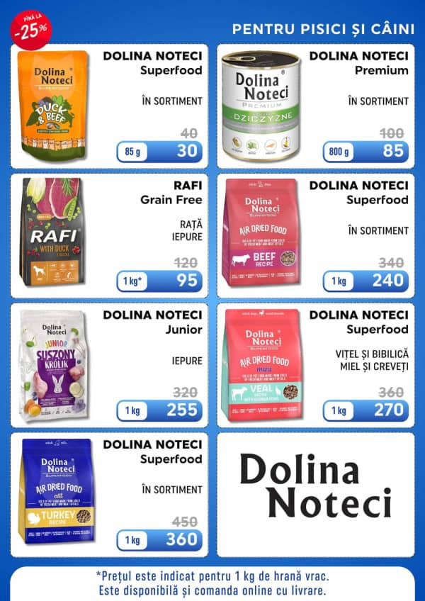 Pagina 6