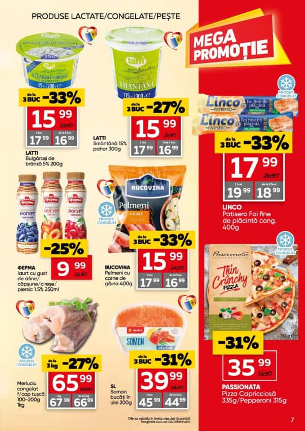Pagina 7