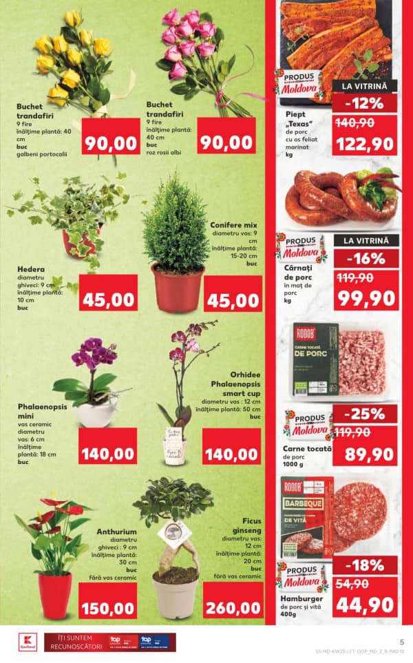 Pagina 5