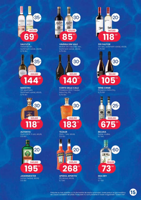 Pagina 15