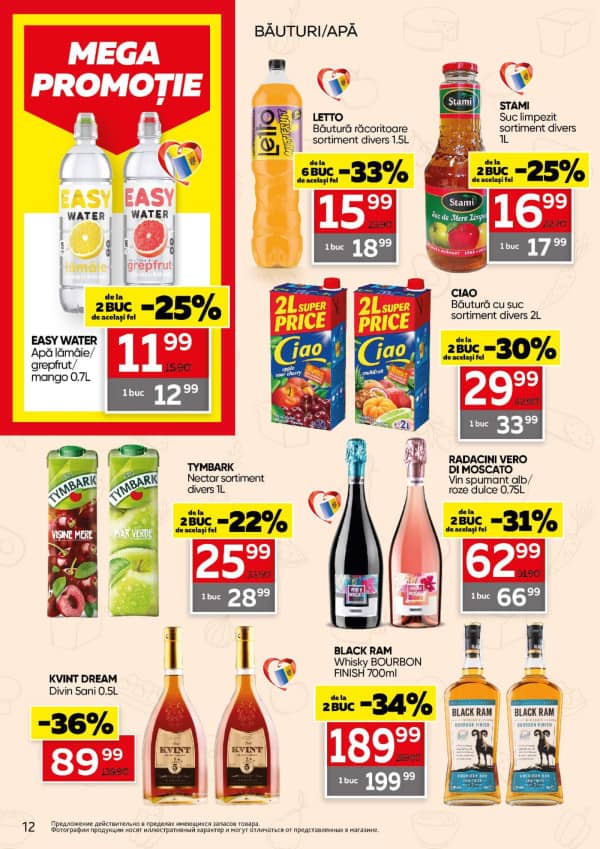 Pagina 12