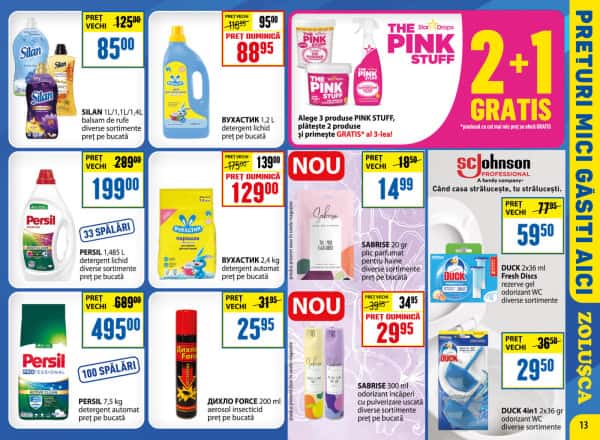 Pagina 13