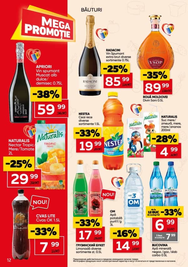 Pagina 12