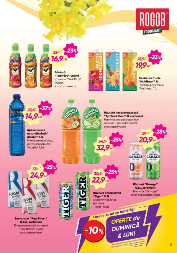 Pagina 13