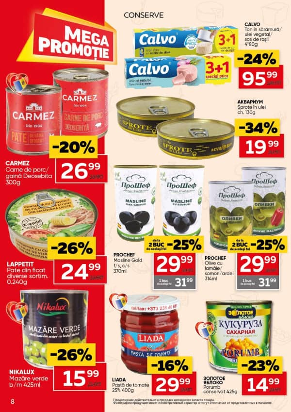 Pagina 8