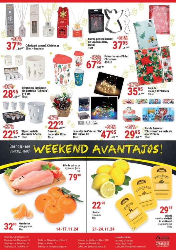Pagina 12