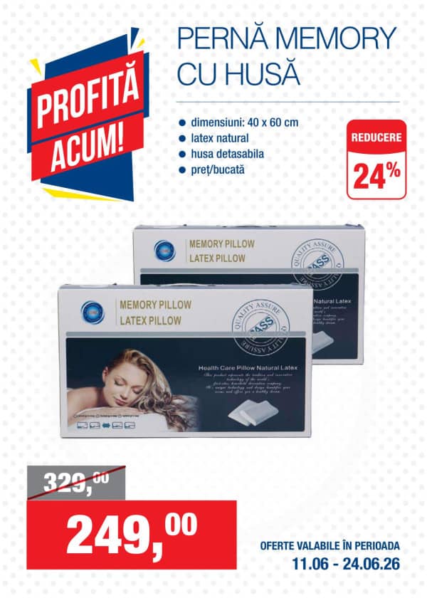 Pagina 11