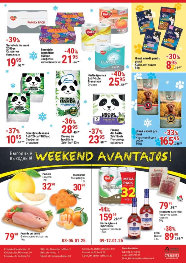 Pagina 12