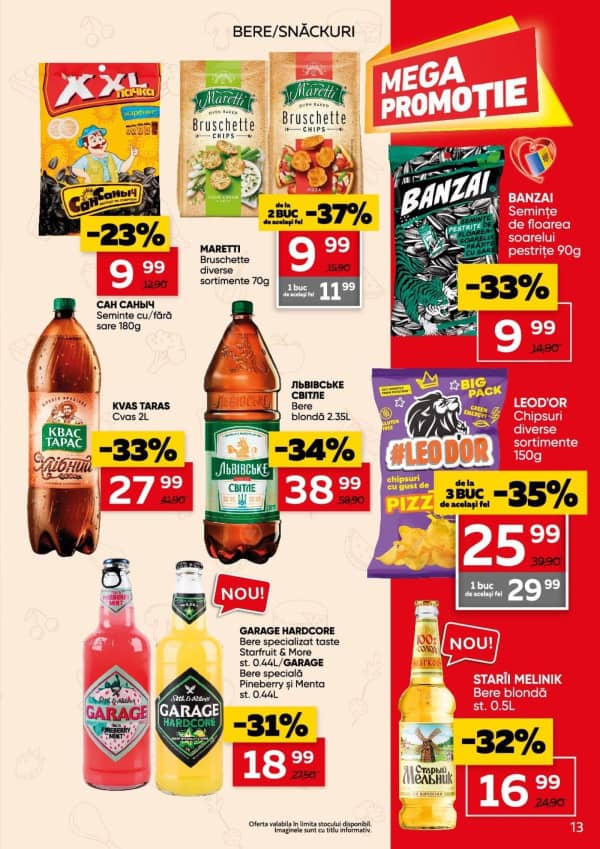 Pagina 13