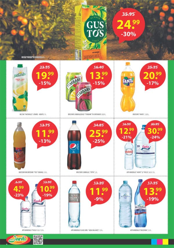 Pagina 12