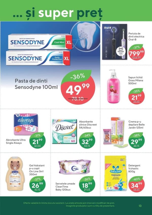 Pagina 13