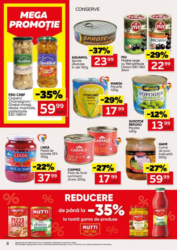 Pagina 8