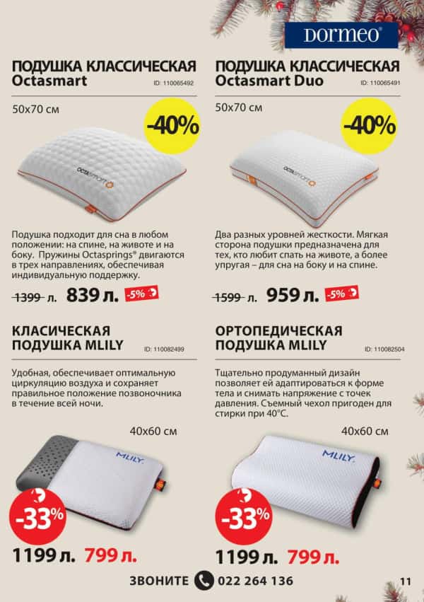 Pagina 11