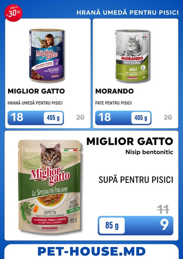 Pagina 19