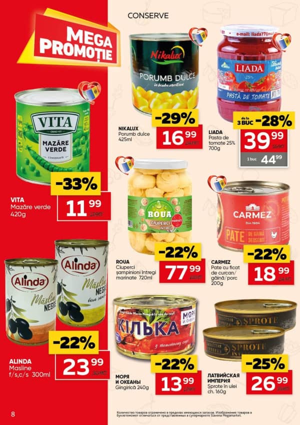 Pagina 8
