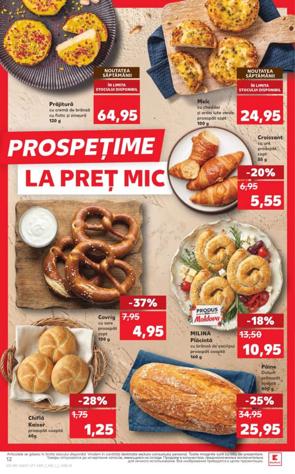 Pagina 12