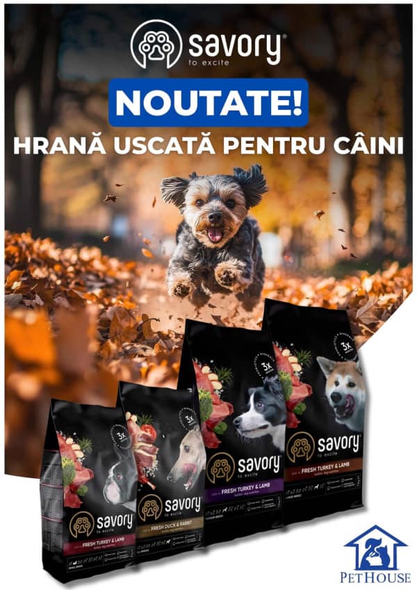 Pagina 22