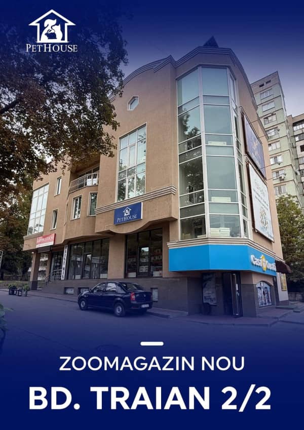 Pagina 2