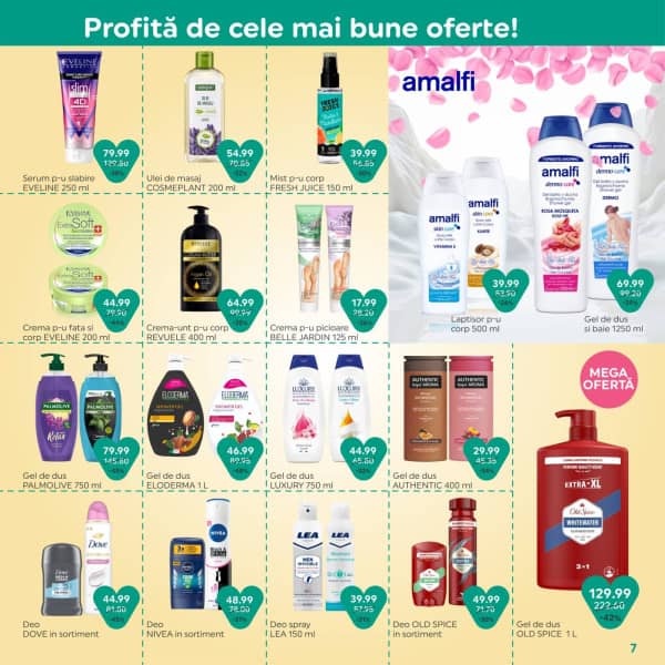Pagina 7