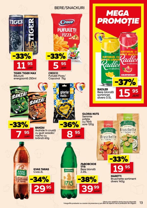 Pagina 13
