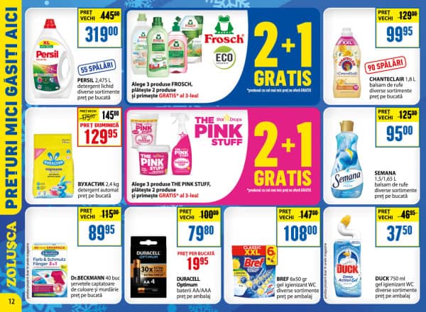 Pagina 12