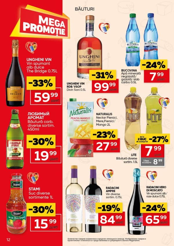 Pagina 12