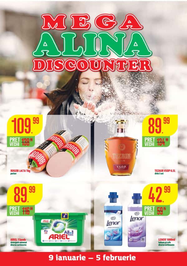 Mega Alina Discounter: Буклет января