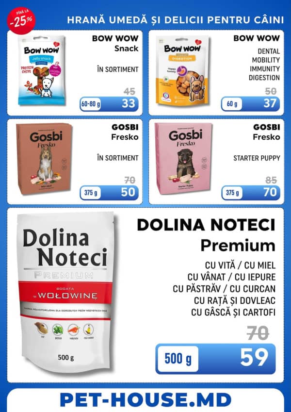 Pagina 6