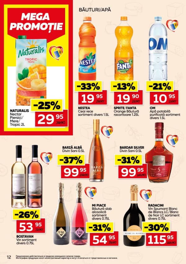 Pagina 12