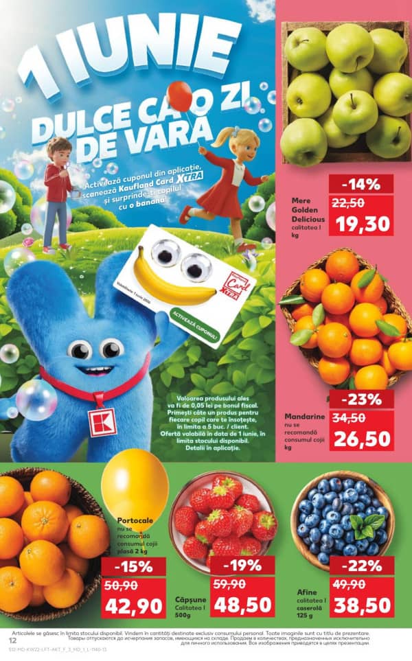 Pagina 12