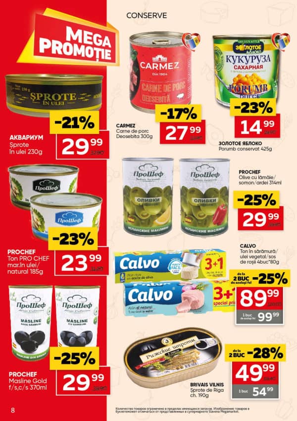 Pagina 8