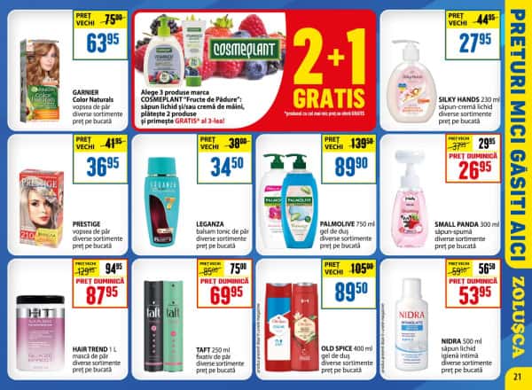 Pagina 21