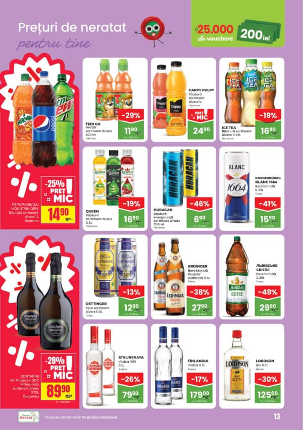 Pagina 13